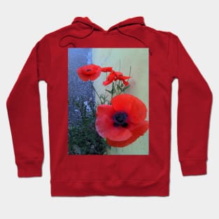 red poppies Hoodie